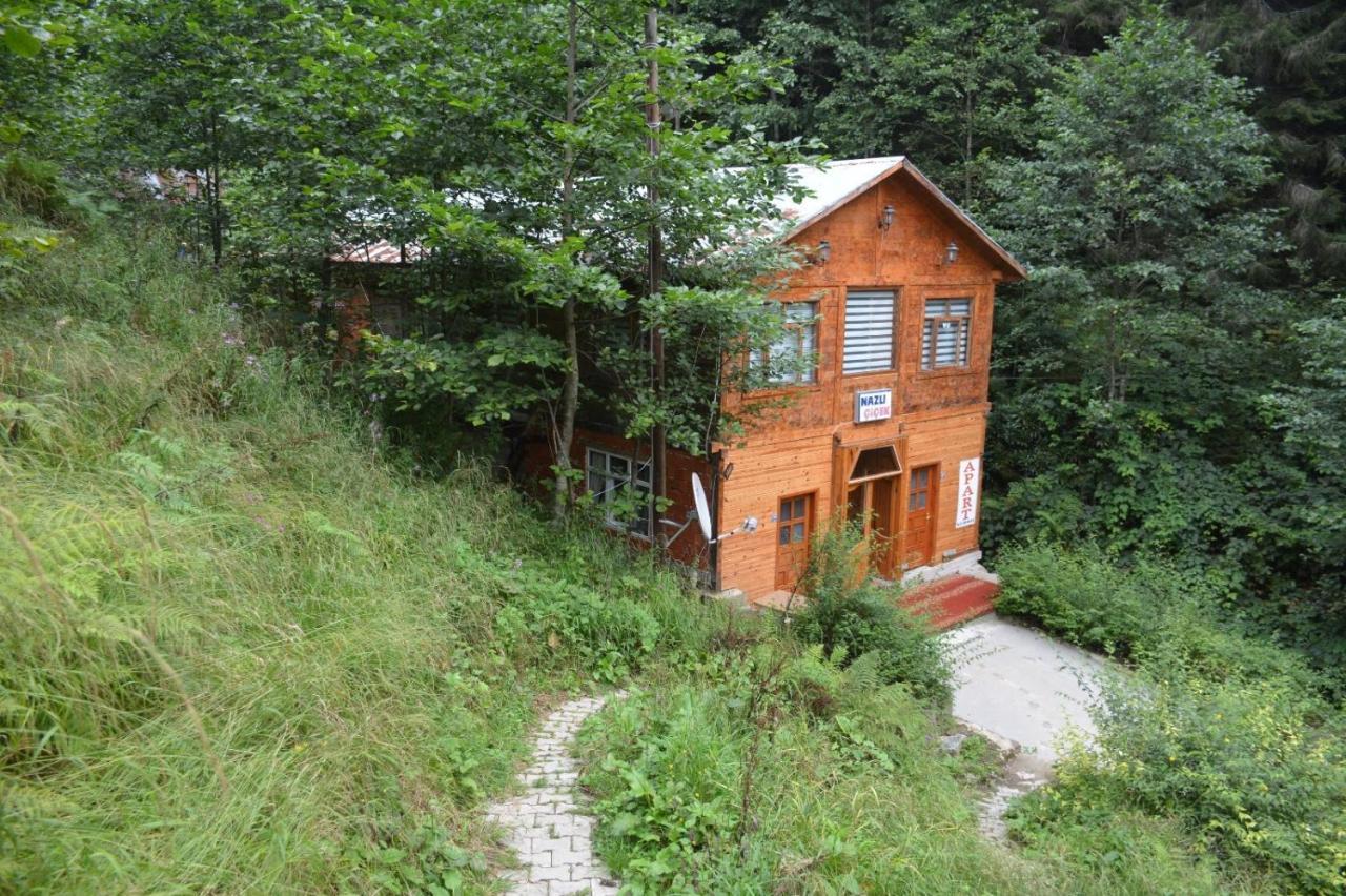 Ayder Nazli Cicek Apart Exterior foto