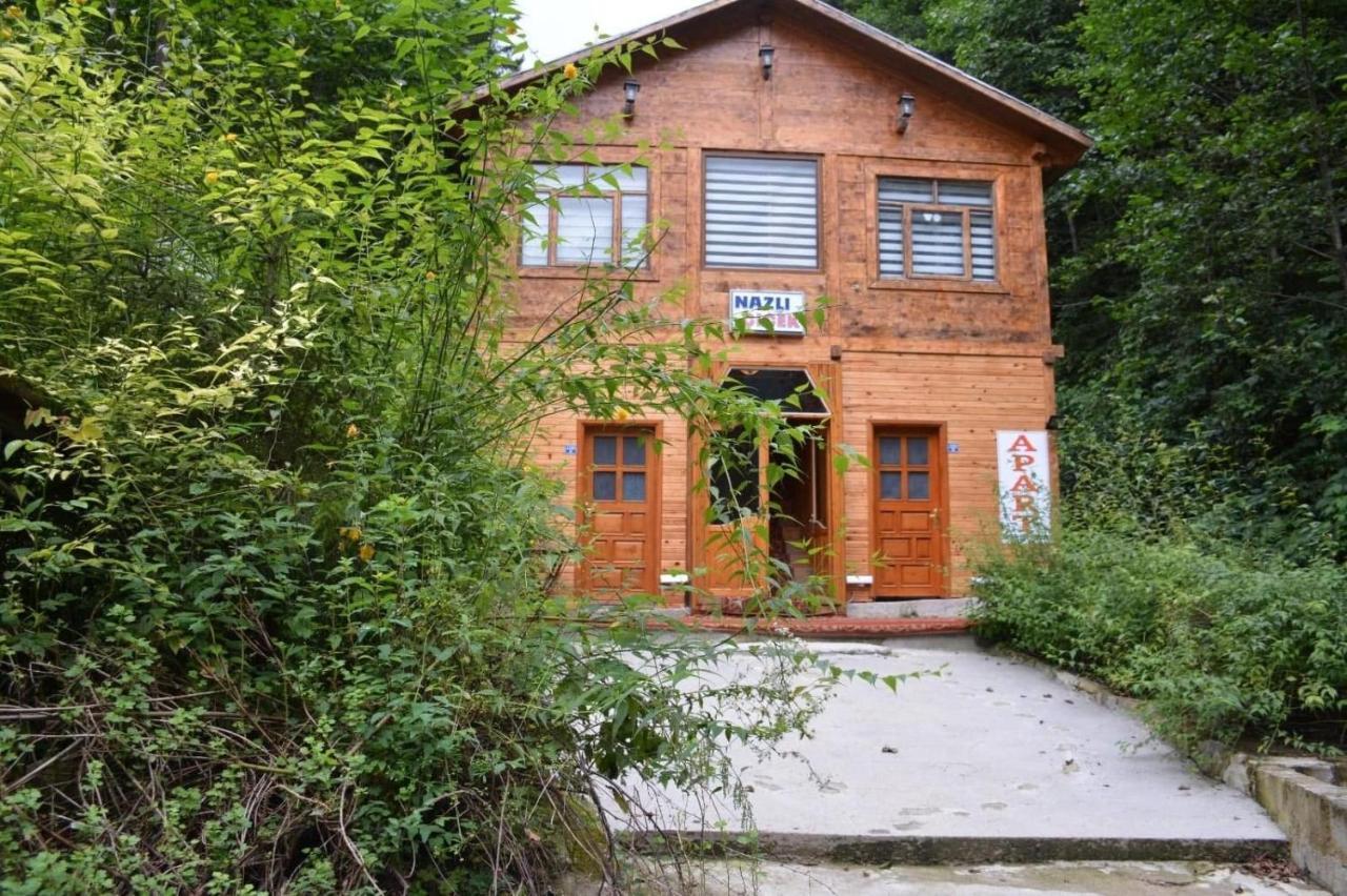 Ayder Nazli Cicek Apart Exterior foto