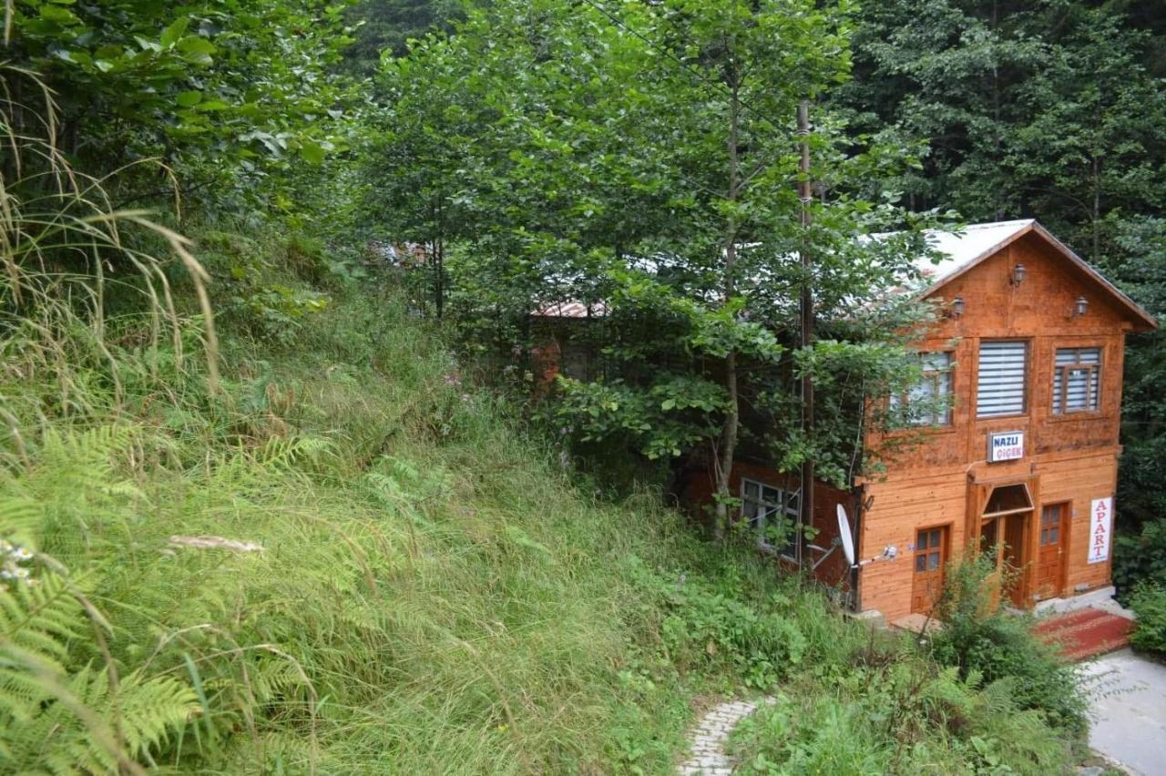 Ayder Nazli Cicek Apart Exterior foto