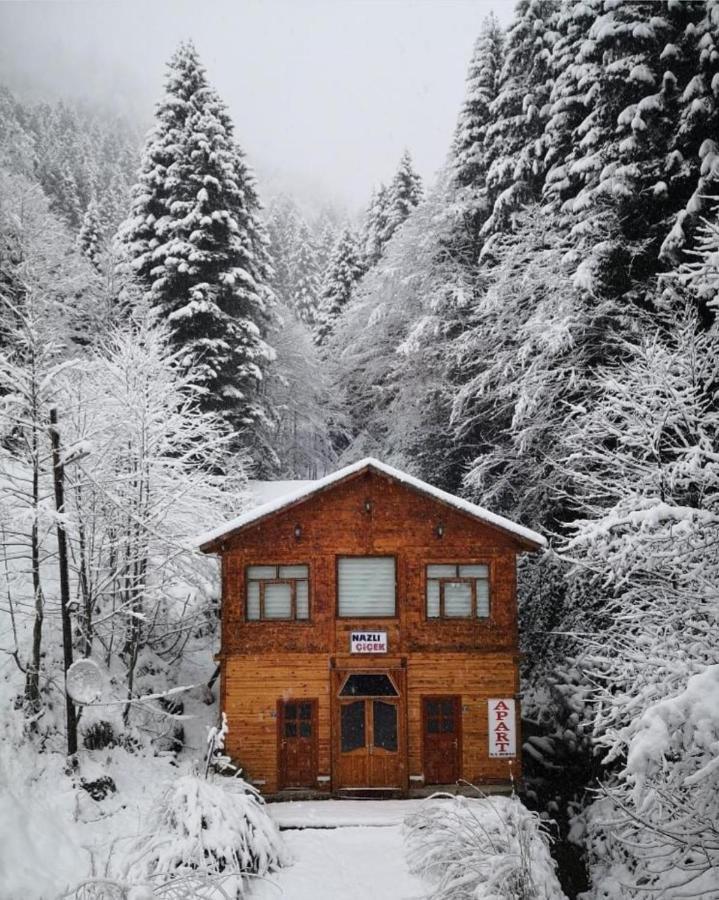 Ayder Nazli Cicek Apart Exterior foto